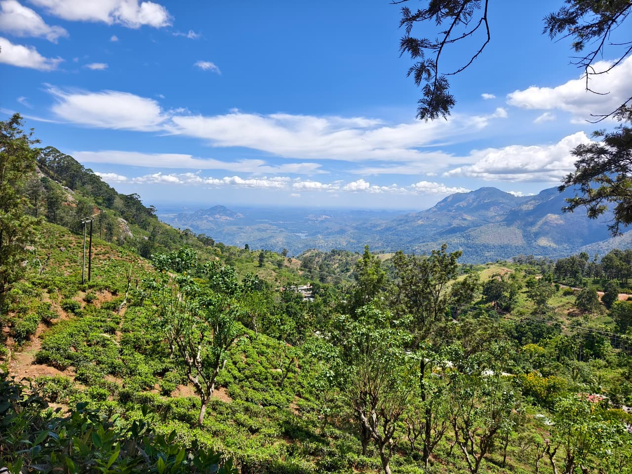 Tea bushes on a hillside near Ella, the hill country falling away to distant mountains under a blue sky
