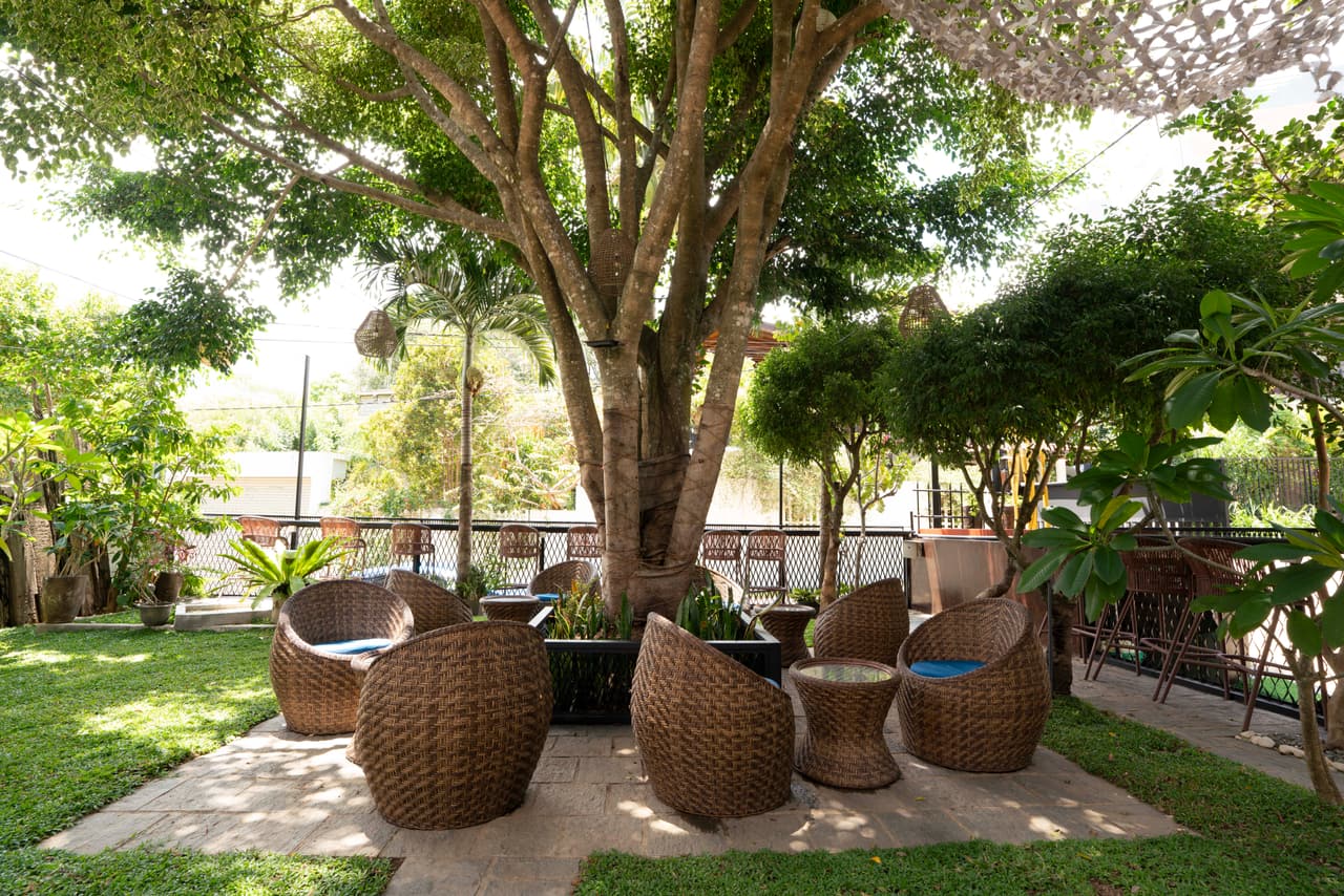 Wicker chairs around a large tree in the garden at AK Ristoro, Ella
